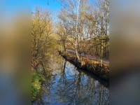 Wasserspiegel - gesehen in Bad Windsheim. (Foto: Herta Dietrich)