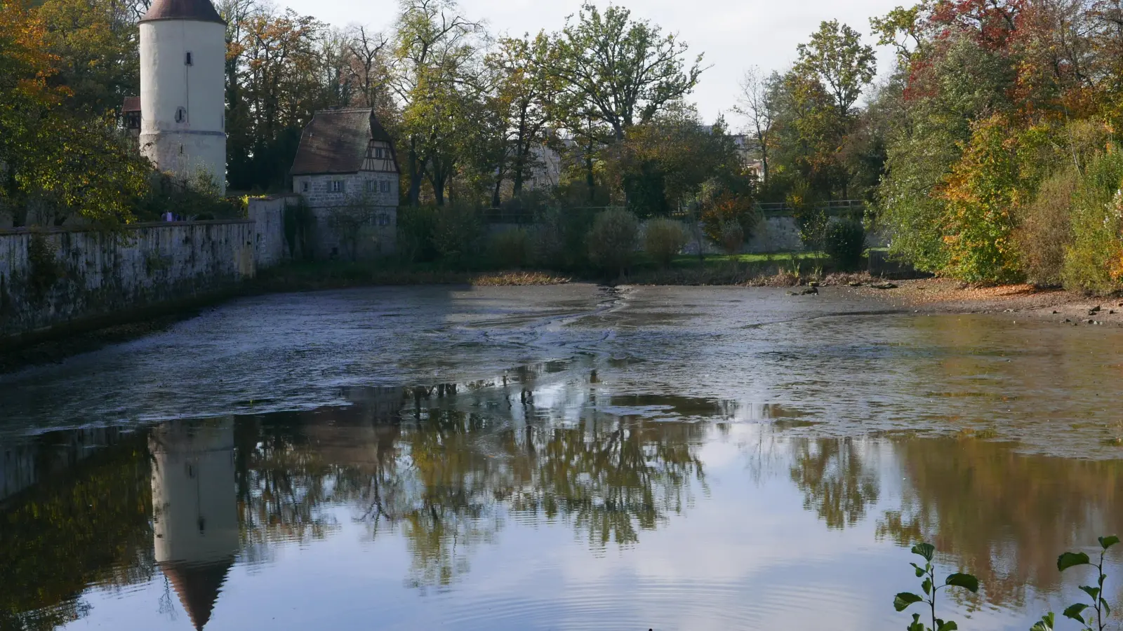 Nach dem Abfischen des Rothenburger Weihers bot sich vor der Dinkelsbühler Altstadt dieser idyllische Anblick. (Foto: Roman Kocholl)