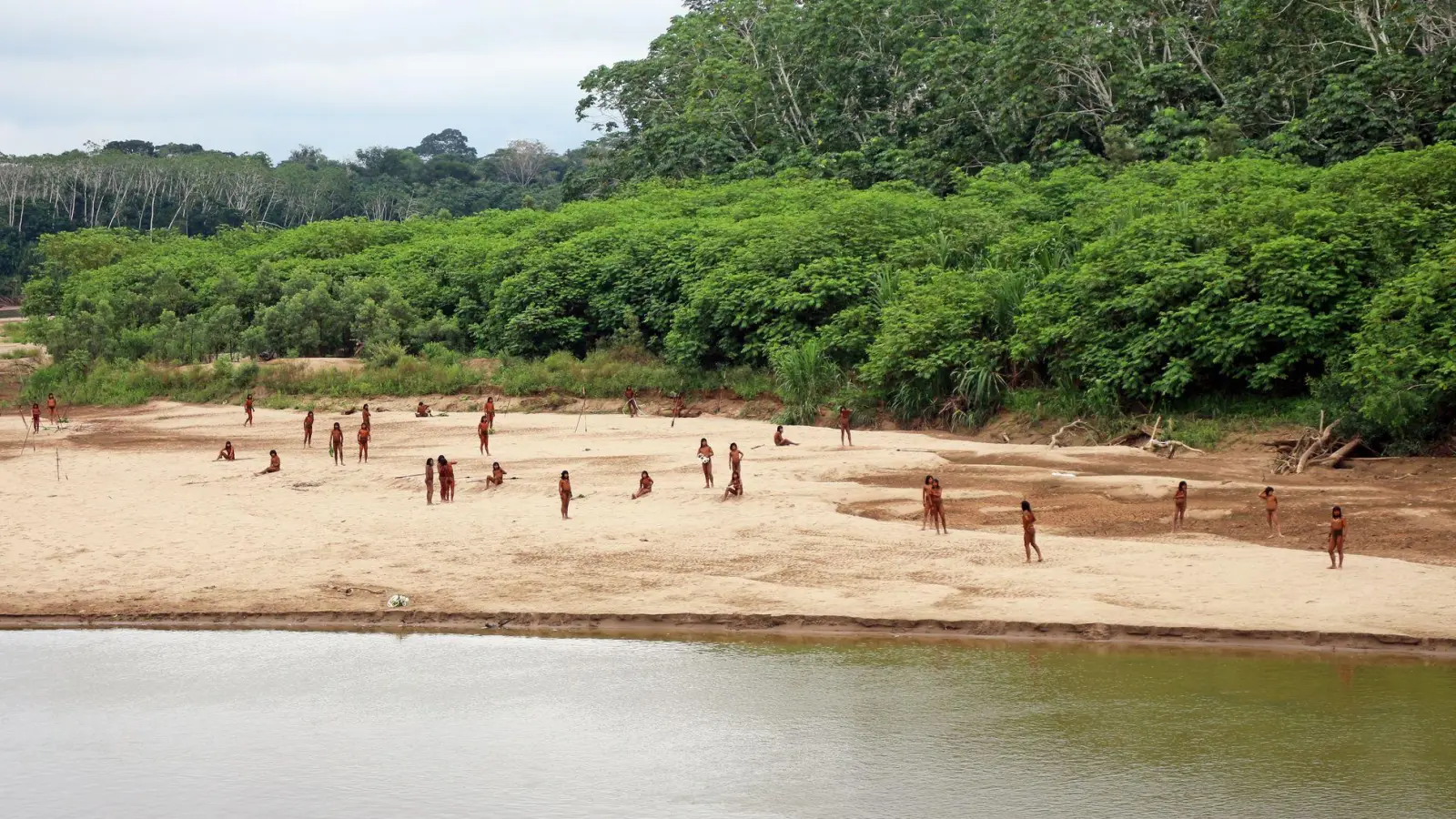 Holzfäller kommen den Indigenen gefährlich nahe. (Foto: ---/Survival International/dpa)