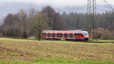 Auf rund einem Drittel des deutschen Schienennetzes können wegen fehlender Oberleitungen keine elektrischen Züge fahren. (Archivbild) (Foto: Philipp von Ditfurth/dpa)