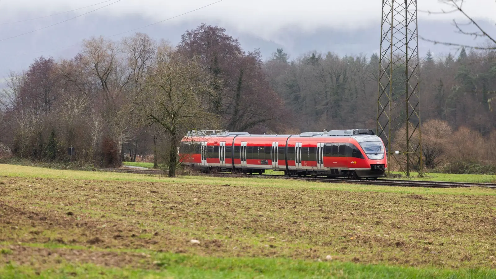 Auf rund einem Drittel des deutschen Schienennetzes können wegen fehlender Oberleitungen keine elektrischen Züge fahren. (Archivbild) (Foto: Philipp von Ditfurth/dpa)