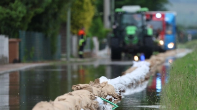 Landwirte in einigen Landesteilen bekommen mehr Hochwasserhilfe. (Archivbild) (Foto: Karl-Josef Hildenbrand/dpa)