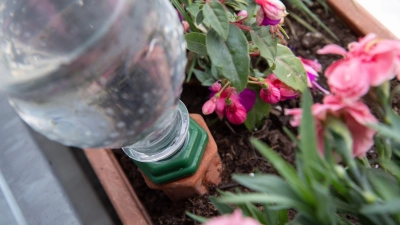 DIY-Lösung mit Flasche: Bewässerungssysteme müssen nicht teuer sein. (Foto: Andrea Warnecke/dpa-tmn)