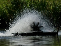 Da kommt Sauerstoff an die Fische - gesehen in Weidenbach. (Foto: Erich Kraus)