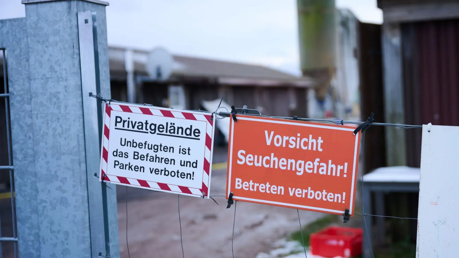 Bayern hofft darauf, weiter seuchenfrei zu bleiben. (Archivbild) (Foto: Annette Riedl/dpa)