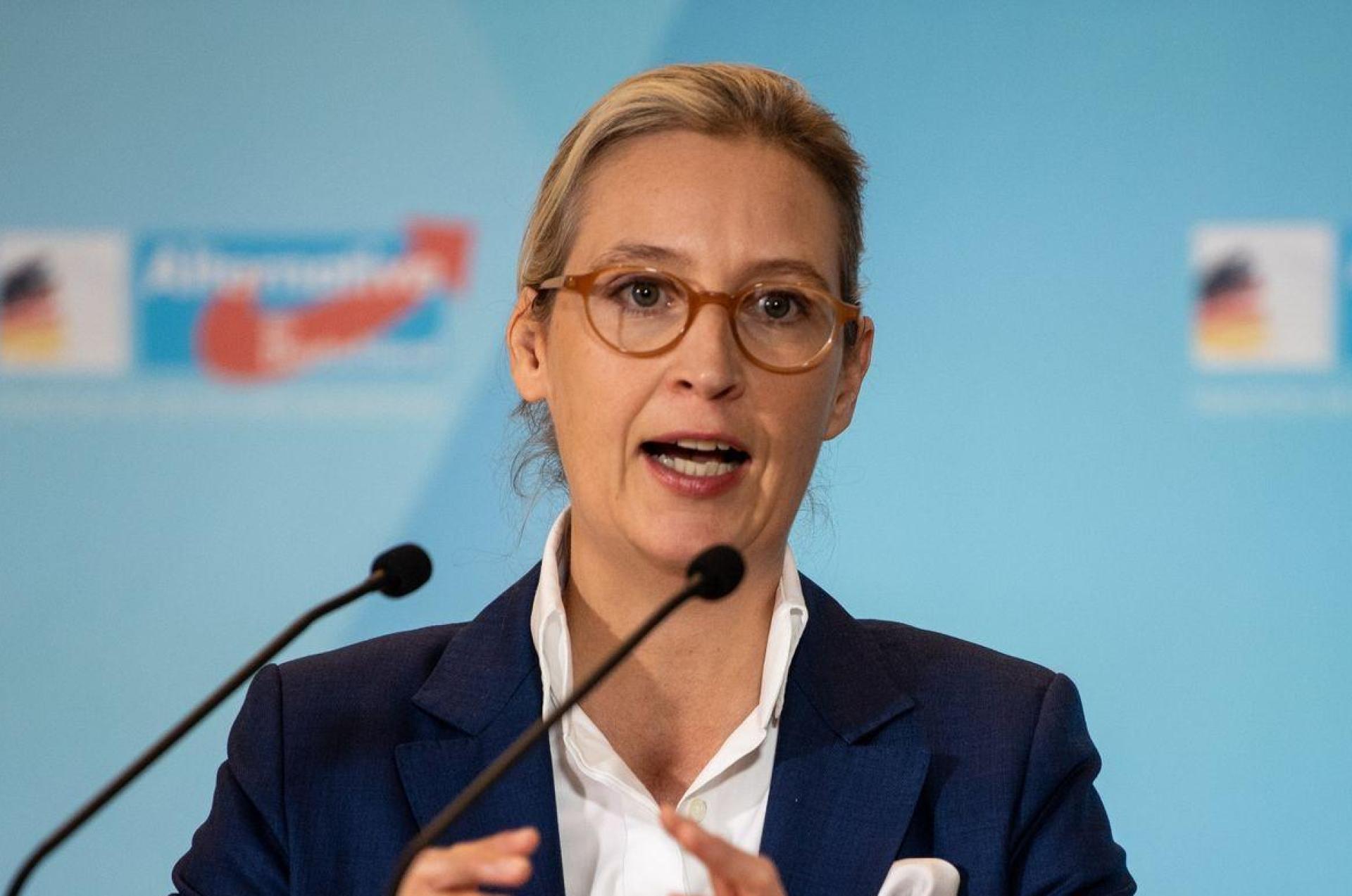 AfD-Vorsitzende Weidel Sieht „Dexit“-Referendum Als Plan B | FLZ.de