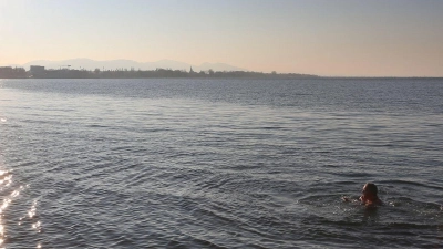 Eine Frau schwimmt nahe der deutschen Grenze im rund zehn Grad kalten Wasser des Bodensee. (Foto: Karl-Josef Hildenbrand/dpa)