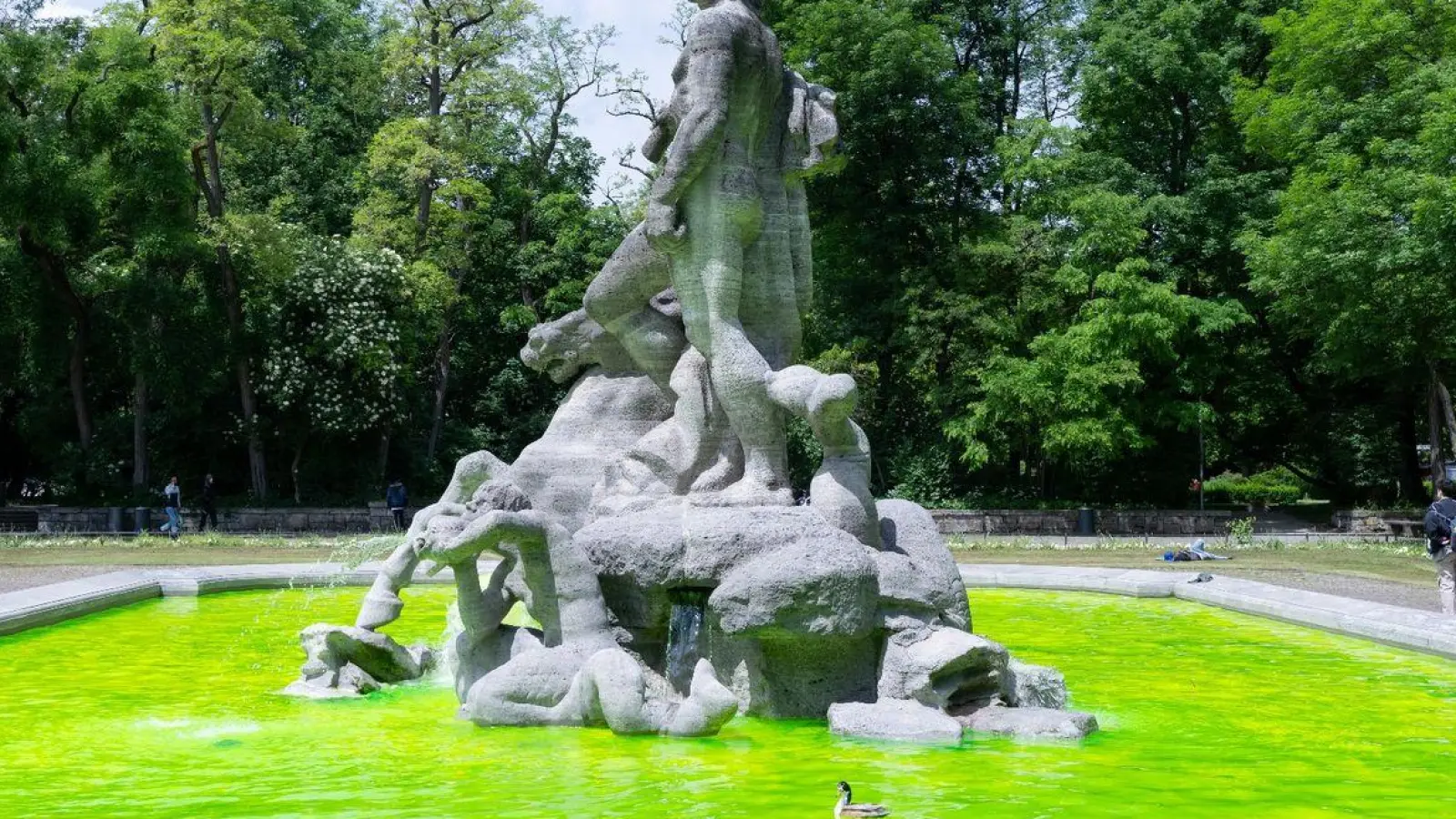 Grün gefärbtes Wasser ist in der Innenstadt im Neptunbrunnen zu sehen. (Foto: Sven Hoppe/dpa)