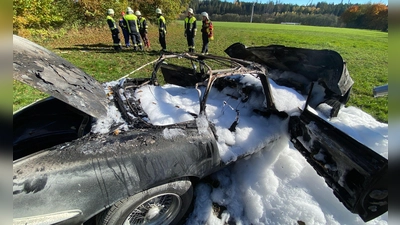 Ein von der Polizei zur Verfügung gestelltes Bild zeigt das ausgebrannte Fahrzeug.  (Foto: Polizeiinspektion Münchberg/dpa)