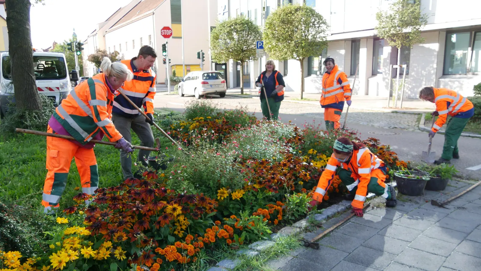 Dem Bürgermeister zeigen, wo’s langgeht: Andrea Keßler weist ihren Praktikanten Jürgen Heckel in seine Arbeit ein. Gerda Riedel, Petra Plackner, Monika Brockauf und Doris Graf (von links) haben ihren Spaß dabei. (Foto: Ulrike Ganter)