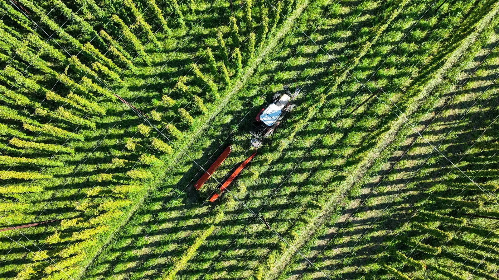 Die Frau wurde nach dem Betriebsunfall auf dem Feld schwer verletzt ins Krankenhaus gebracht. (Symbolbild) (Foto: Felix Kästle/dpa)