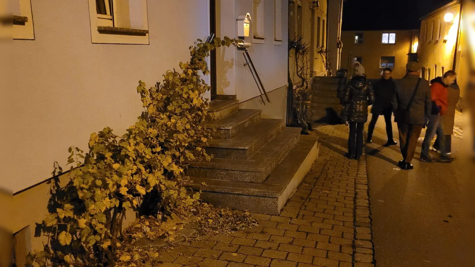 Diese Pflanze an der Husarengasse hatte vergeblich nach einer Rankhilfe gesucht und ist deswegen in sich zusammen gefallen. (Foto: Nina Daebel)