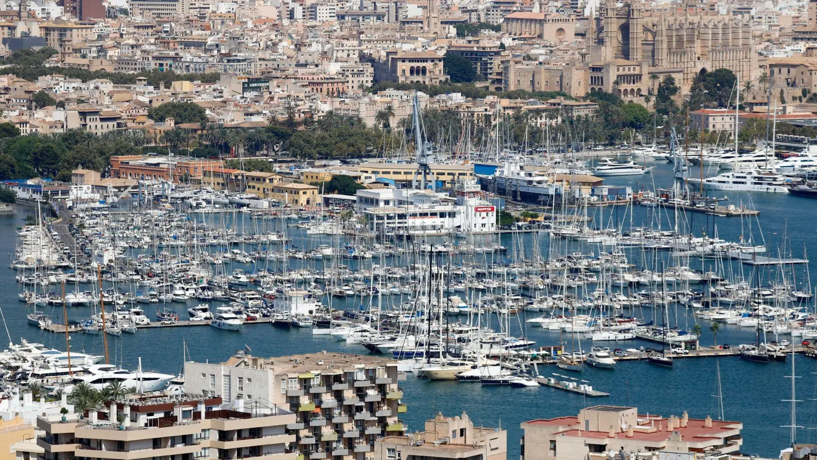 Die Immobilienpreise sind in den letzten Jahren auf sehr beliebten Urlaubsinseln wie Mallorca besonders stark angestiegen. (Foto: Clara Margais/dpa)