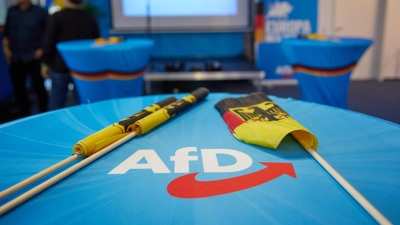 Wie geht es weiter für die AfD im EU-Parlament? Die ID-Fraktion trennte sich kurz vor der Europawahl von der Partei. (Foto: Jörg Carstensen/dpa)