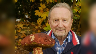 Fast ein Kilo brachte dieser Steinpilz nach der Ernte auf die Waage. So etwas ist Hermann Klein in mindestens 60 Jahren In-die-Pfiffer-Gehen noch nicht untergekommen. (Foto: Ulli Ganter)