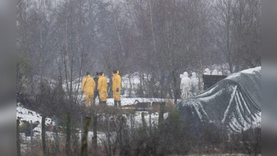 Nach dem Ausbruch der Maul- und Klauenseuche wurde zunächst eine Wasserbüffel- Herde getötet. Fachleute waren im brandenburgischen Landkreis Märkisch-Oderland im Einsatz.  (Foto: Sebastian Christoph Gollnow/dpa)