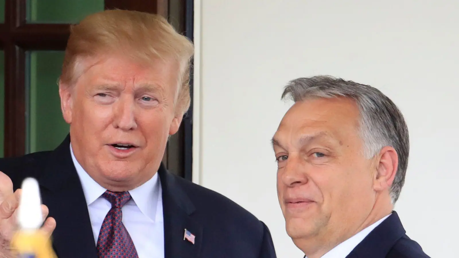 Der damalige US-Präsident Donald Trump (l) und Ungarns Ministerpräsident Viktor Orban: Die beiden Rechtspopulisten haben politisch viel gemeinsam (Archivbild). (Foto: Manuel Balce Ceneta/AP/dpa)