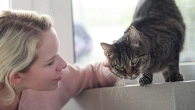 Weil die Festangestellten in Tierheimen voll ausgelastet sind, übernehmen ehrenamtliche Katzenstreichlerinnen wie Christina Haas das Kraulen und Spielen. (Foto: Daniel Löb/dpa)