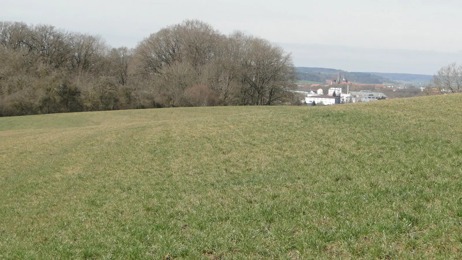 Vom Stadtrat befürwortet: Auf dieser Wiese südöstlich von Eyb könnte eine Freiflächen-Photovoltaikanlage entstehen. Die Grünen haben artenschutzrechtliche Bedenken. (Foto: Winfried Vennemann)