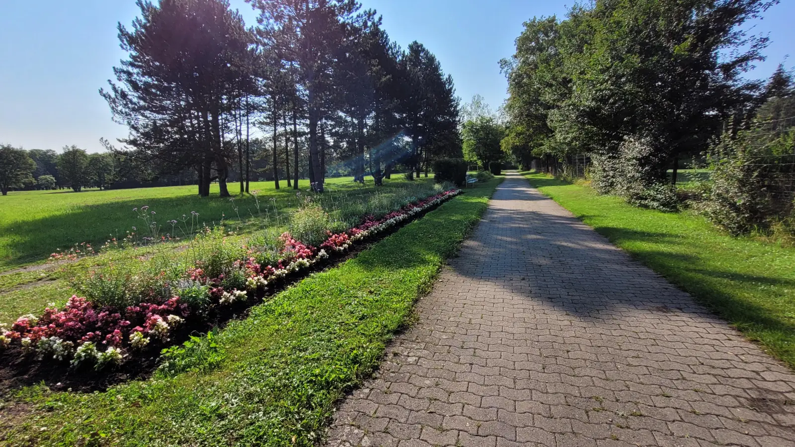 Der Bad Windsheimer Kurpark ist Teil des Landesgartenschau-Gebietes. In die Jahre gekommene Wege sollen in diesem Zuge saniert werden. (Foto: Nina Daebel)