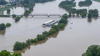 Die Donau führt Hochwasser. (Foto: Armin Weigel/dpa)