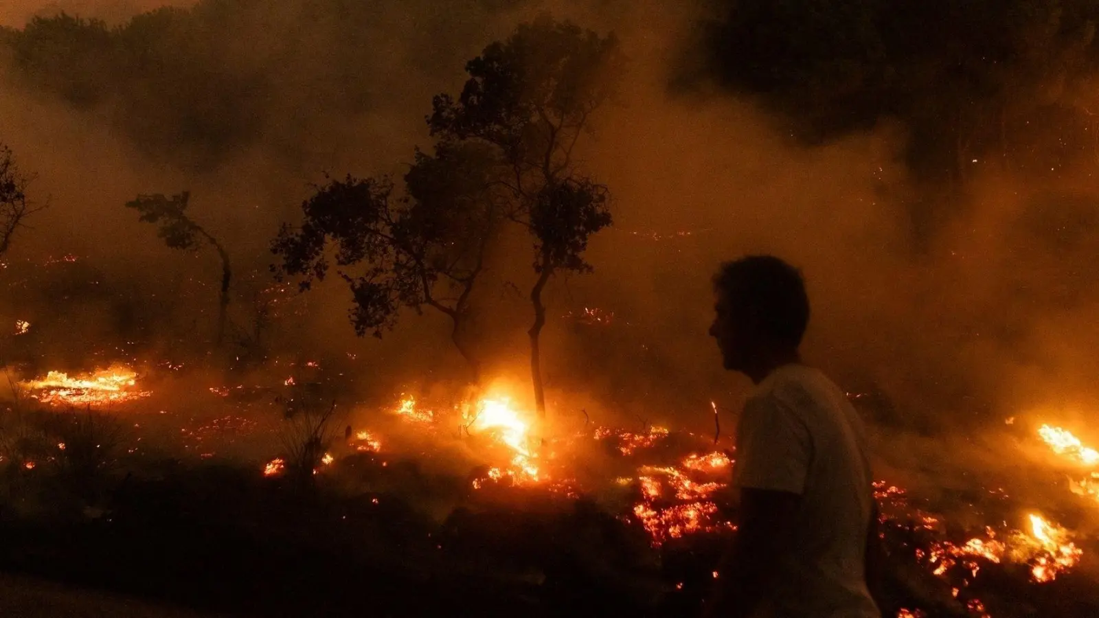 Der Waldbrand in der Nähe der griechischen Stadt Alexandroupolis im Jahr 2023 war der größte bisher registrierte Brand in Europa. (Archivbild) (Foto: Achilleas Chiras/AP/dpa)