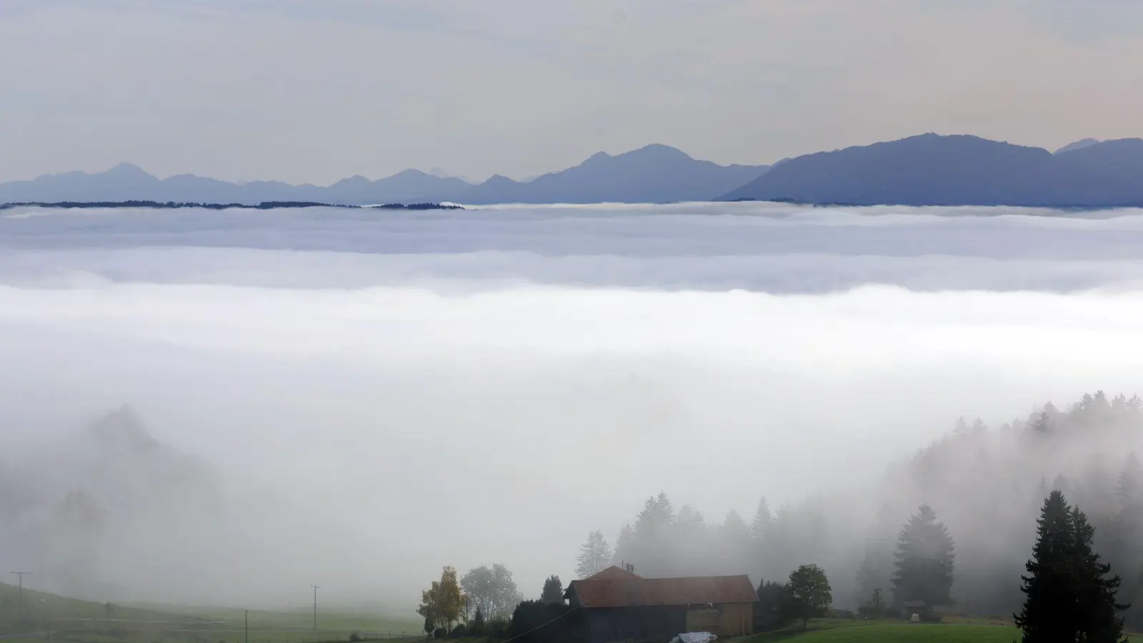 Mit nebligem Wetter rechnet der DWD in weiten Teilen Bayerns. (Archivbild) (Foto: Karl-Josef Hildenbrand/dpa)