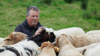 Als Teil der schwulen Herde dürfen die Schafe „leben und lieben, wen und wie sie wollen“ (Foto aktuell). (Foto: Friso Gentsch/dpa)