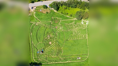 Feld-Labyrinth zeigt Wikingerschiff (Foto: Peter Kneffel/dpa)