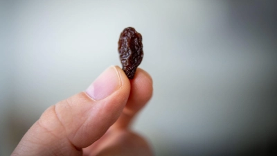 „Öko-Test“ hat 24 Rosinenmarken überprüft und festgestellt, dass die meisten von ihnen Pestizide, Schimmelpilzgifte oder Keime enthalten. (Foto: Zacharie Scheurer/dpa-tmn)