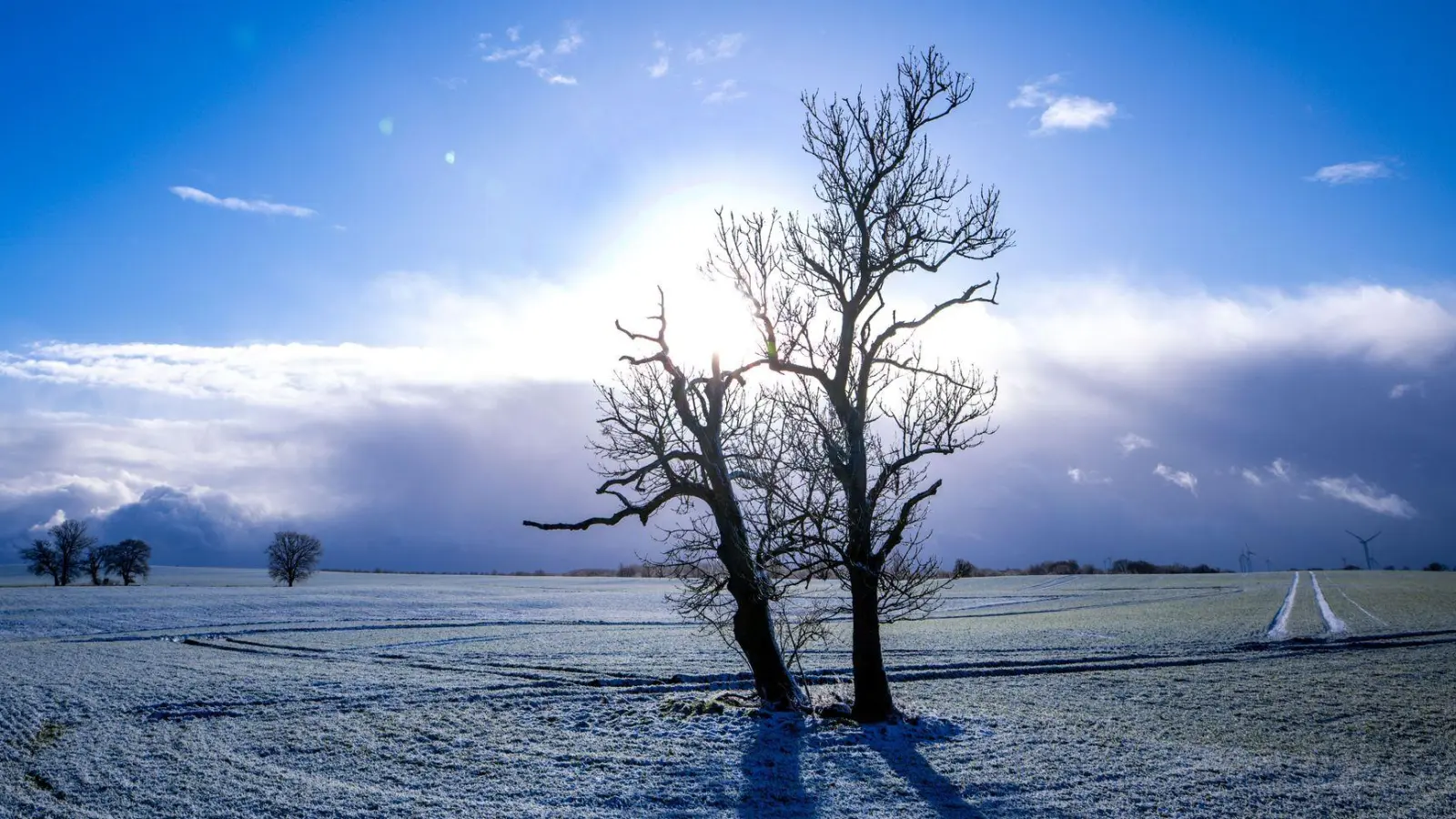 Winterwetter in Norddeutschland (Foto: Jens Büttner/dpa)