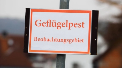 Rund 400 Tiere in dem Betrieb in einem Ortsteil von Abenberg seien getötet worden, teilte das Landratsamt Roth mit. (Symbolbild) (Foto: picture alliance / Nicolas Armer/dpa)