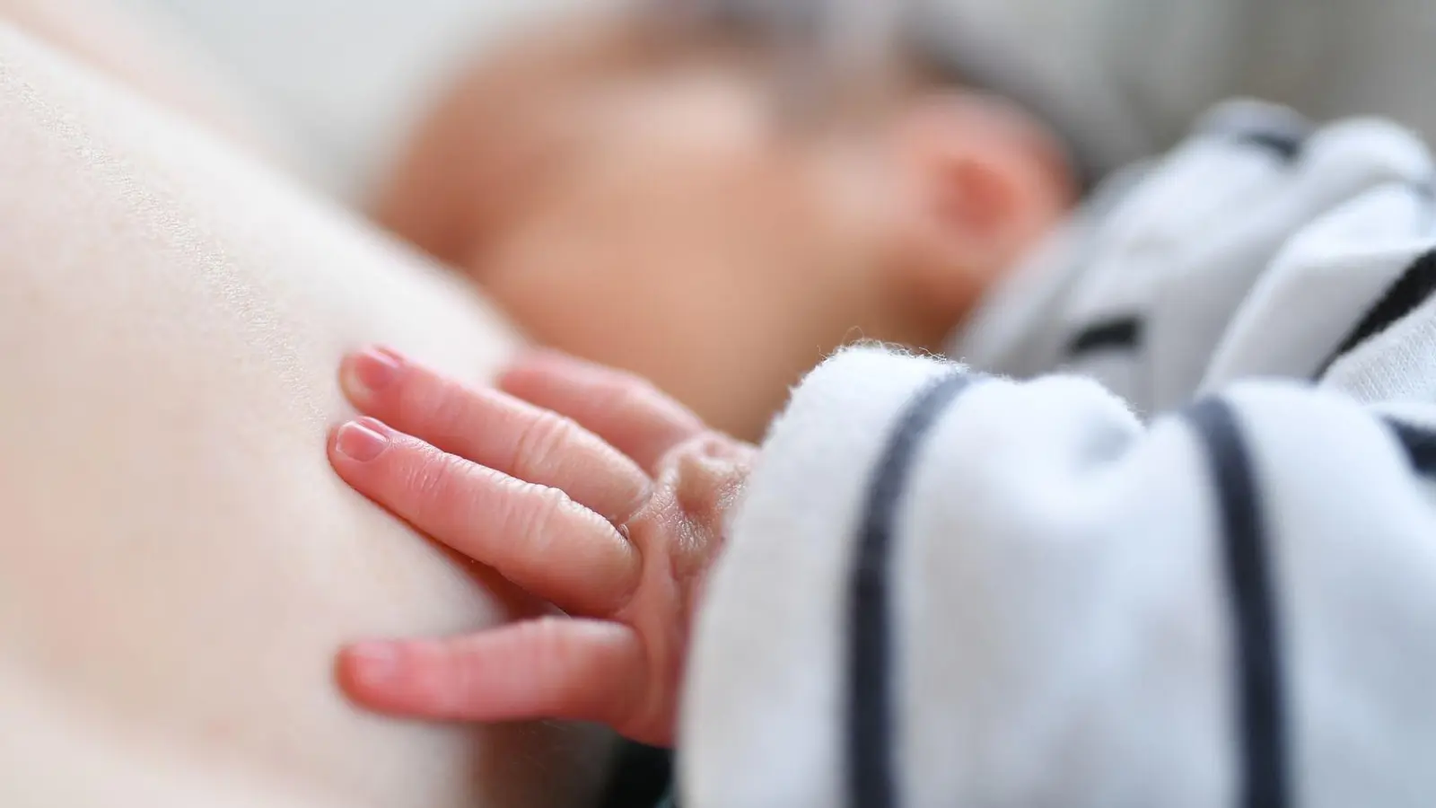 Das Baby fühlt sich pudelwohl an der Brust - so läuft es im besten Fall. Aber manchmal ruckelt es in der Stillbeziehung. (Foto: Uwe Anspach/dpa-tmn)