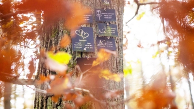 Im bunten Herbstlaub dieser Tage wird der Reiz von Friedhöfen in der Natur besonders schnell deutlich. (Foto: Evi Lemberger)