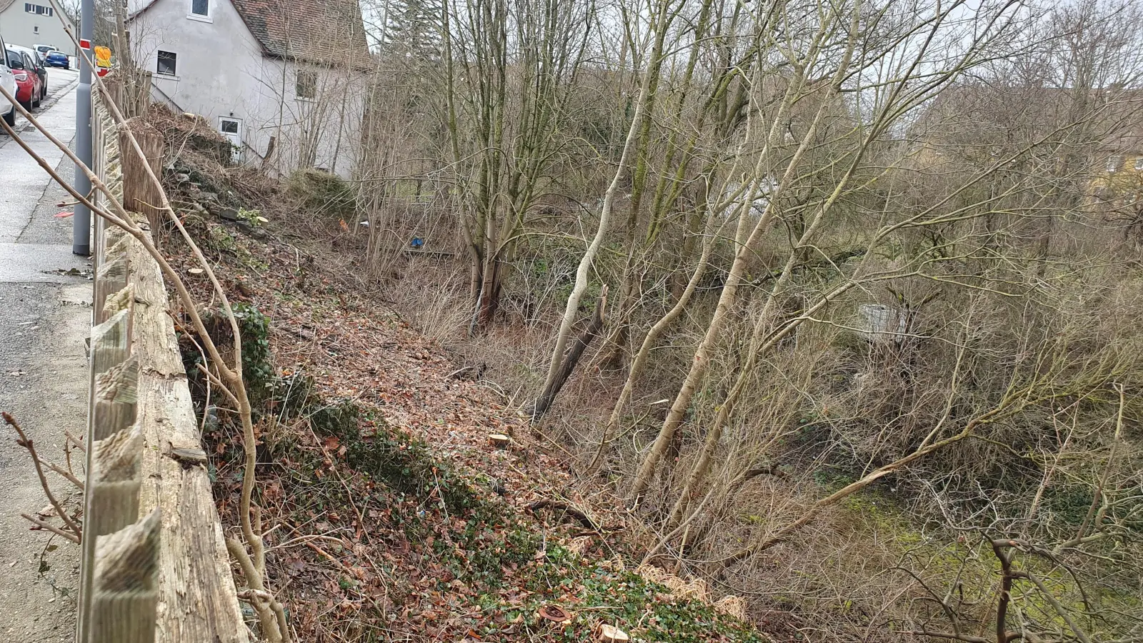 Einige Bäume in Grundstücken am Spitalwall wurden gefällt. Ein Anwohnerehepaar, Heidi und Gerd Herrmann, können das nicht nachvollziehen. (Foto: Anna Franck)