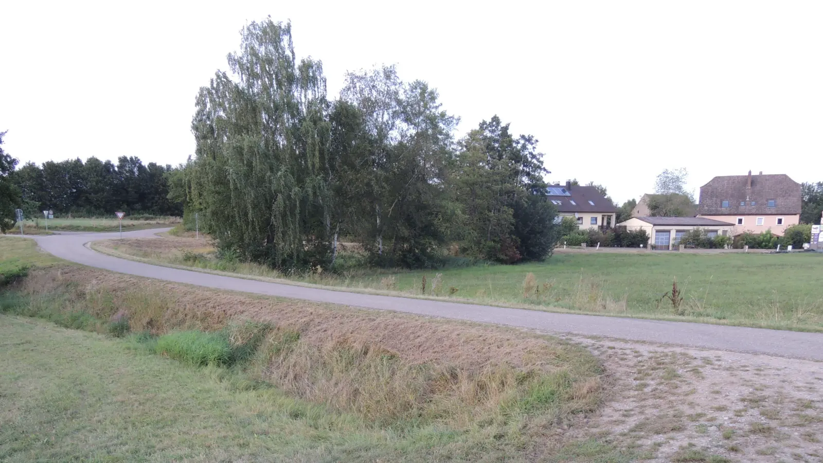 Die Hochwasser-Problem-Zone in Dorfgütingen: Das Bett des Mühlgrabens verläuft unter dem Straßendamm dort hindurch, wo die Bäume stehen. (Foto: Peter Zumach)