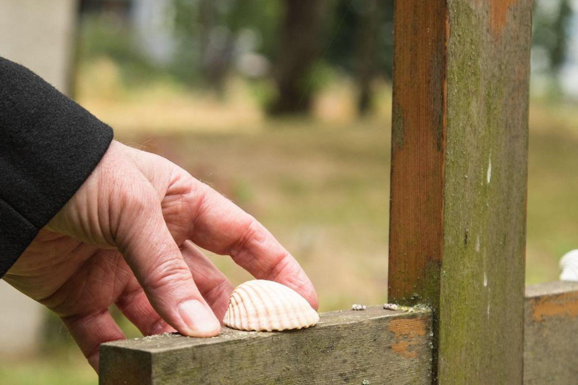 Erbe: Was Passiert Nach Dem Tod Eigentlich Mit Den Schulden? | FLZ.de