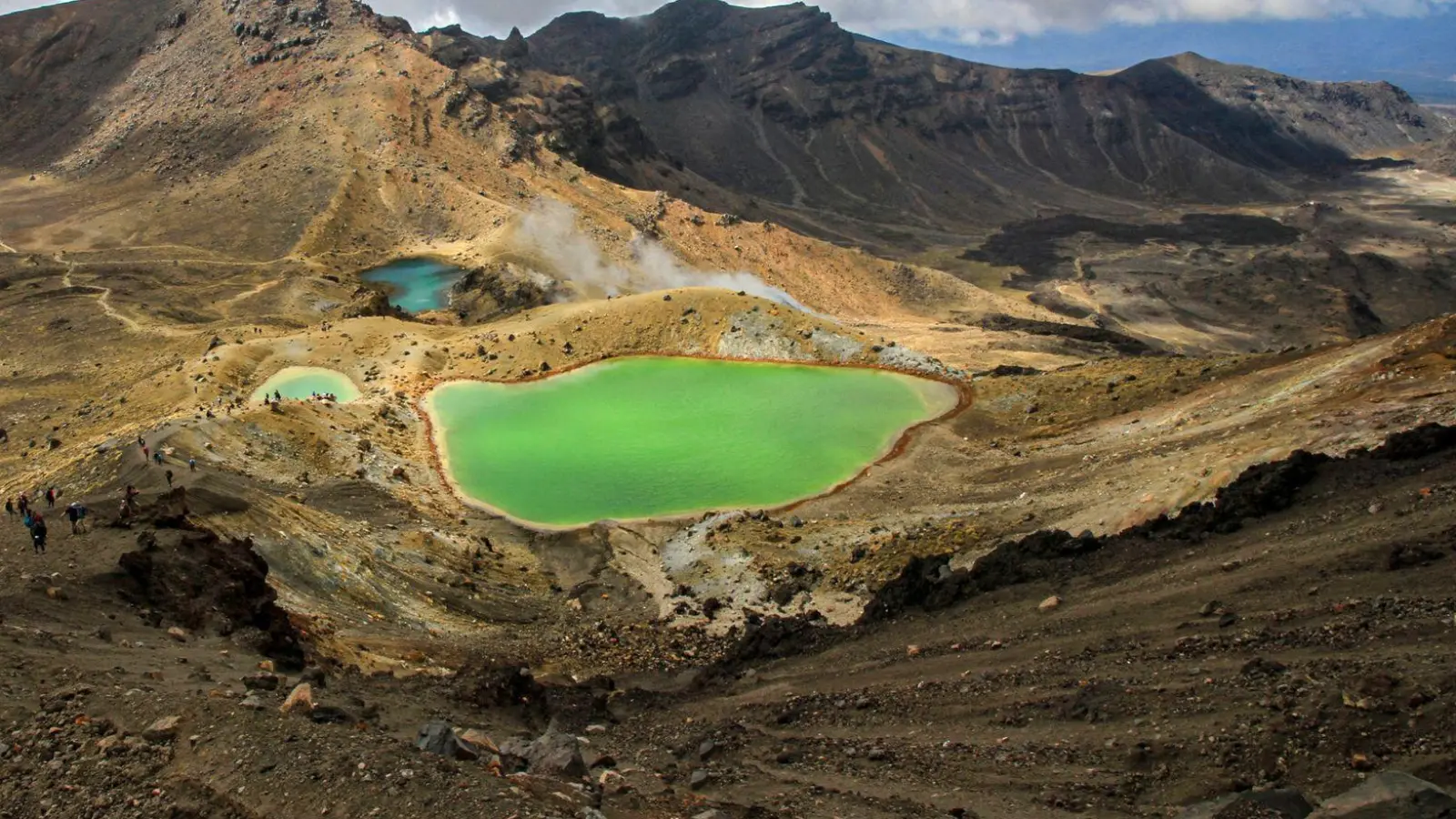 Ab dem 27. Januar dürfen so gut wie alle Besitzer eines Visums oder der NZeTA in Neuseeland nicht nur Urlaub machen, sondern mit einigen Einschränkungen auch arbeiten. (Foto: Michael Juhran/dpa-tmn)