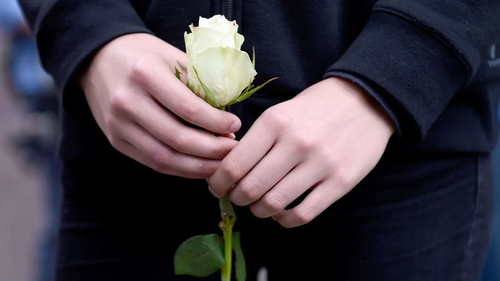 Vielen Kindern hilft es, ihre Trauer auszuleben - wenn sie etwa bei der Beerdigung einbezogen werden und eine Rose auf das Grab legen dürfen. (Foto: Rainer Jensen/dpa/dpa-tmn)