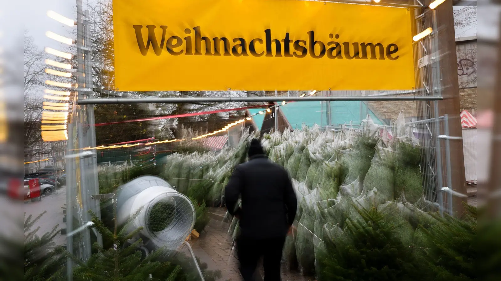 Christbaumverkauf: In Bamberg wurden an einem anderen Stand 80 bis 100 Bäume entwendet. (Symbolbild) (Foto: Christian Charisius/dpa)