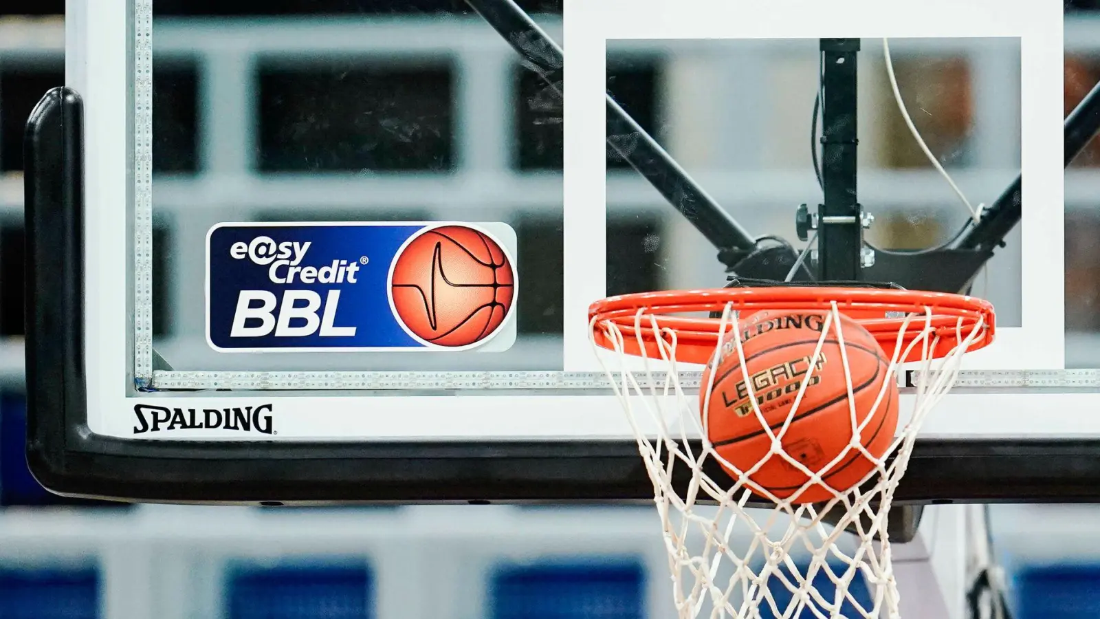 Das Team der Bamberg Baskets für die neue Saison steht. (Foto: Uwe Anspach/dpa)