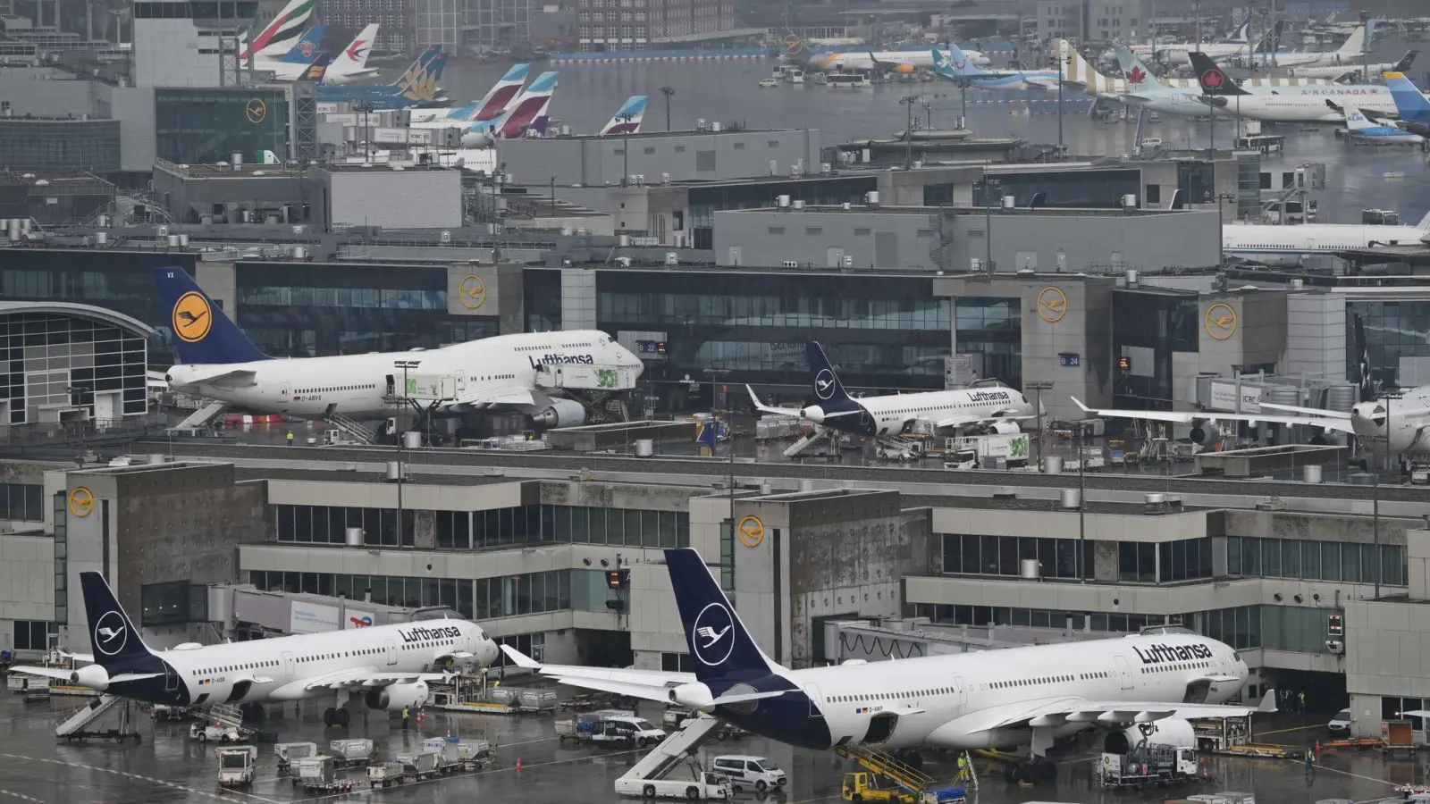 Nach einem Stromausfall in der Nacht kann es am Frankfurter Flughafen noch zu Verspätungen kommen. (Archivbild)  (Foto: Arne Dedert/dpa)