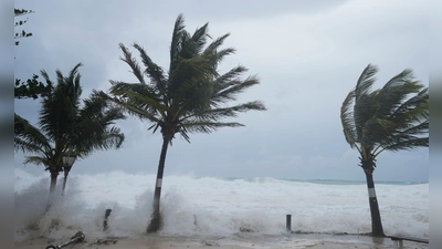 Hurrikan „Beryl“ biegt die Palmen. (Foto: Ricardo Mazalan/AP/dpa)
