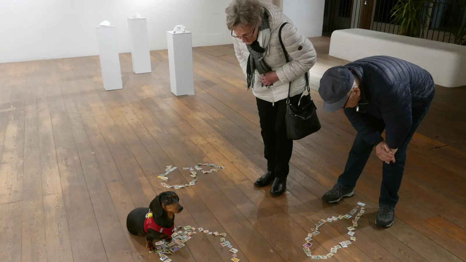 Zunächst setzte sich Dackeldame Pepper neben einer Besucherin und einem Besucher in der Kunsthalle Hilsbach zielsicher in Szene, um dann ein wenig herablassend über die fixierten Briefmarken – eine Arbeit von Gabi Schaffner – zu tapern. Eigentlich ist das Tier nicht Teil des Kunstwerks. (Foto: Roman Kocholl)