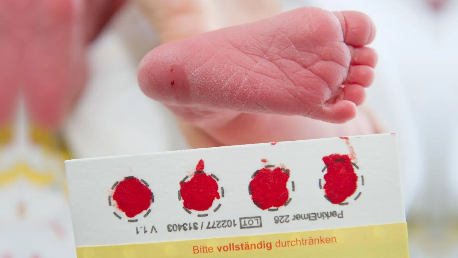 Ein Bluttropfen vom Fuß eines Babys genügt, um viele Krankheit zu erkennen. (Archivbild) (Foto: picture alliance / Stefan Sauer/dpa-Zentralbild/dpa)