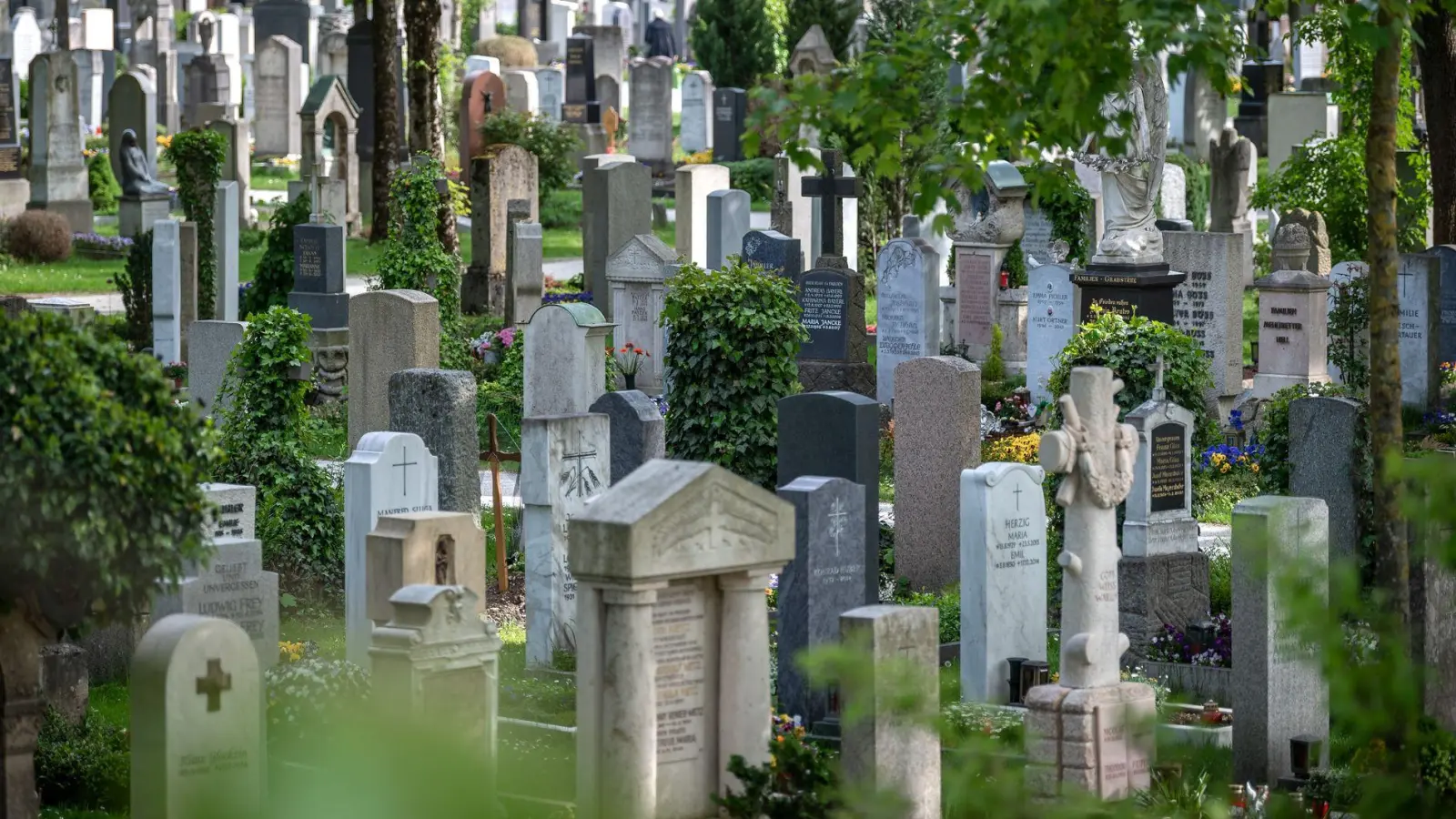 Die Täter sollen mehrere Gegenstände von Gräbern auf dem Friedhof gestohlen haben. (Symbolbild) (Foto: Sina Schuldt/dpa)