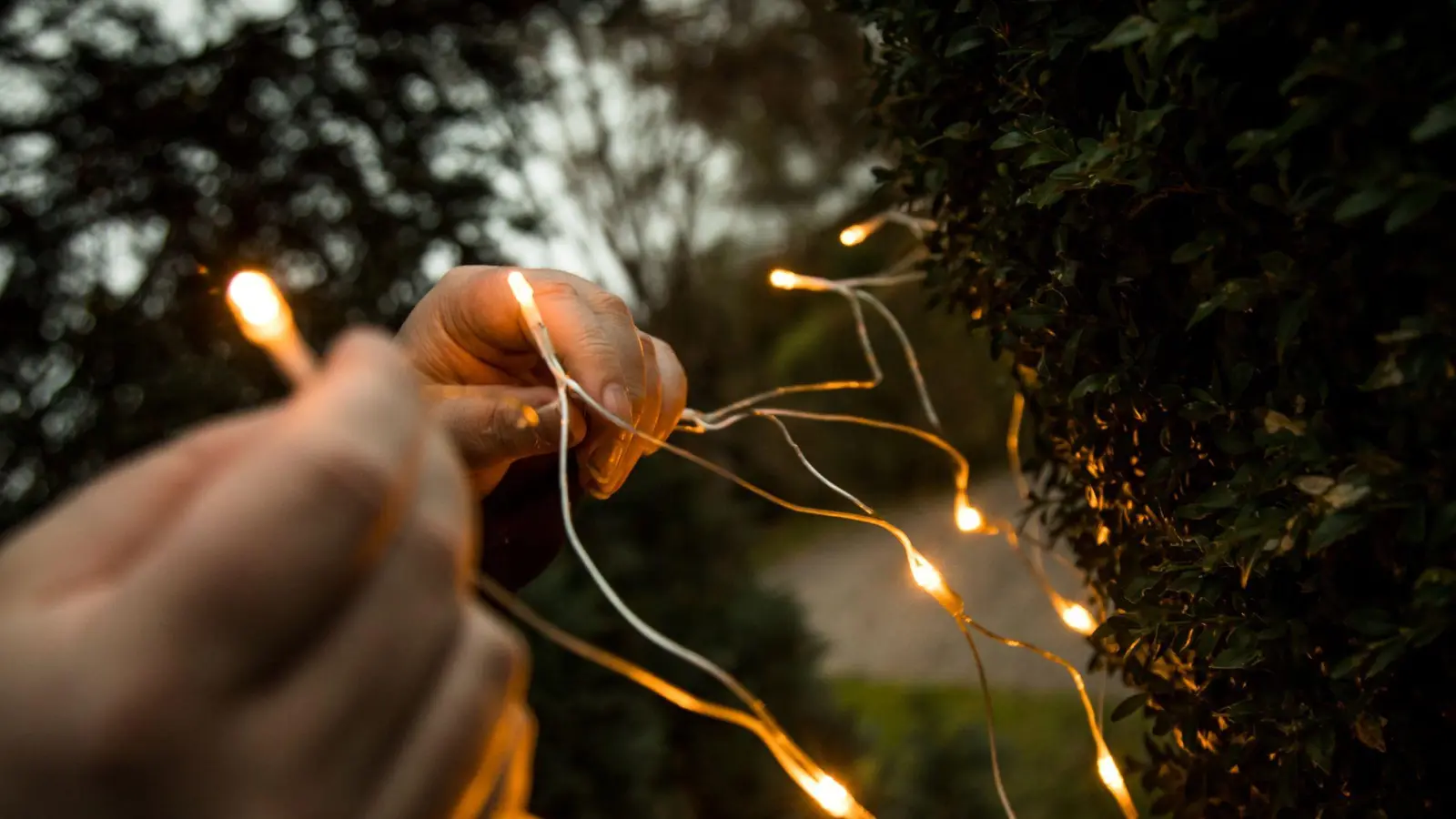 Effiziente Festbeleuchtung: LED-Lichterketten sind langlebig und sparen bis zu 90 % Energie im Vergleich zu Glühlampen. (Foto: Christin Klose/dpa-tmn)