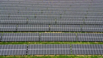 Die Ampelfraktionen haben sich auf ein Paket zur Förderung der Solarindustrie geeinigt. (Foto: Jan Woitas/dpa)