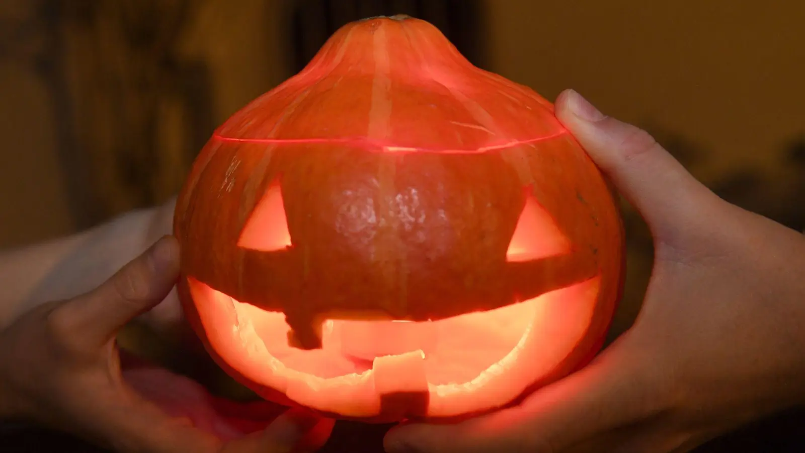 Eine Spinnenattrappe hat in München kurz vor Halloween für Aufregung gesorgt. (Symbolbild) (Foto: Felix Hörhager/dpa)