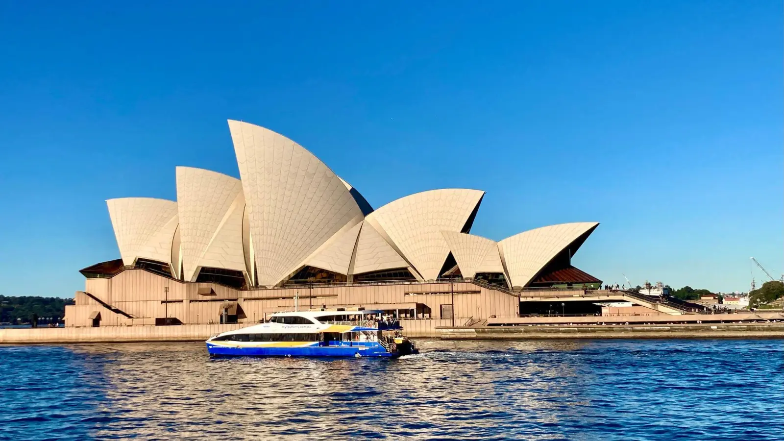 Das Opernhaus in Sydney lässt sich immer neu entdecken. (Foto: Carola Frentzen/dpa)